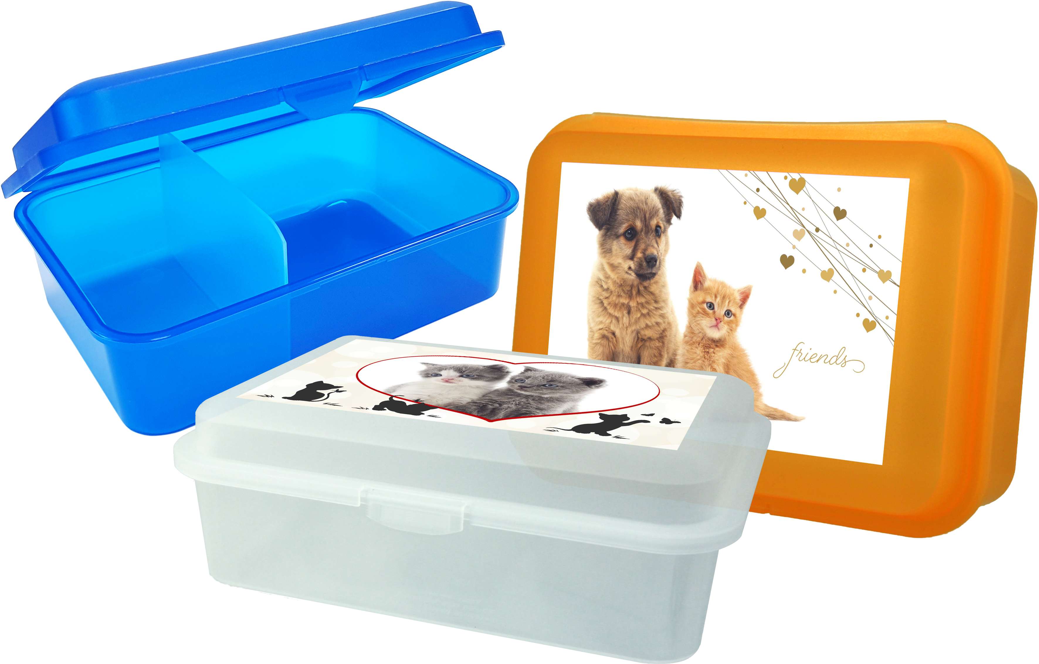Snack box tall with partition - pets